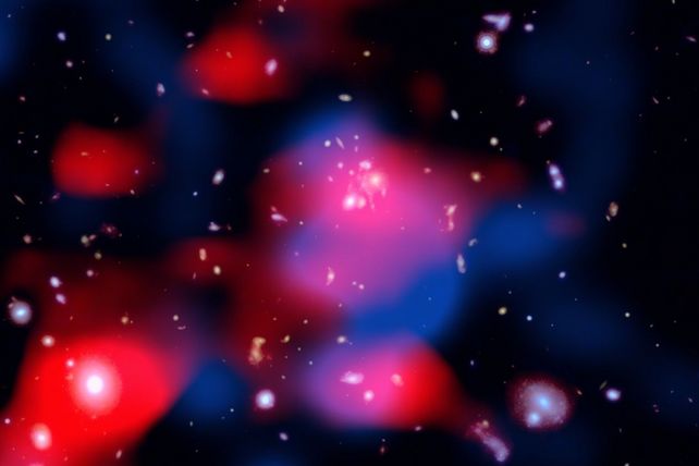 Cette image saisissante dévoile un amas de galaxies lointain débordant d’énergie : les galaxies brillent en lumière visible (blanc), des nuages rougeâtres révèlent un mini-halo radio nouvellement découvert — le plus lointain jamais détecté — et des filaments bleus tracent le gaz chaud émettant en rayons X.