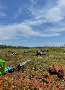 Site d'échantillonnage à la tourbière de l'Île du Havre, juin 2024