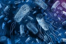 The discovery promises to help guide new approaches in the fight against antibiotic resistance.