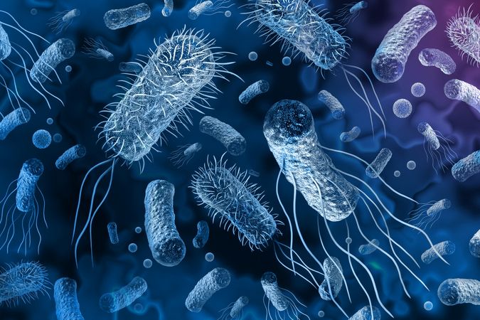 The discovery promises to help guide new approaches in the fight against antibiotic resistance.