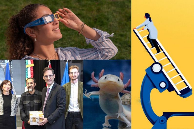 Ces prix soulignent les réalisations exceptionnelles des établissements d’enseignement supérieur canadiens en communications, marketing, affaires publiques, relations avec les diplômés, recrutement et promotion institutionnelle.