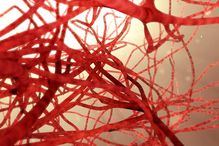 Représentation de vaisseaux sanguins