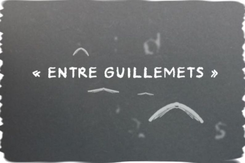 "Entre guillemets" reçoit Vincent Larivière