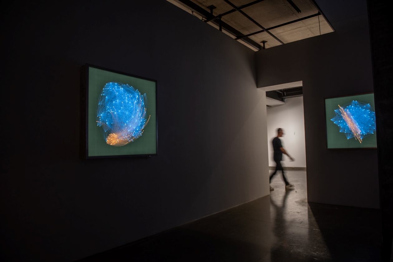 Exposition "Monstra te esse Matrem" de l'artiste François-Joseph Lapointe