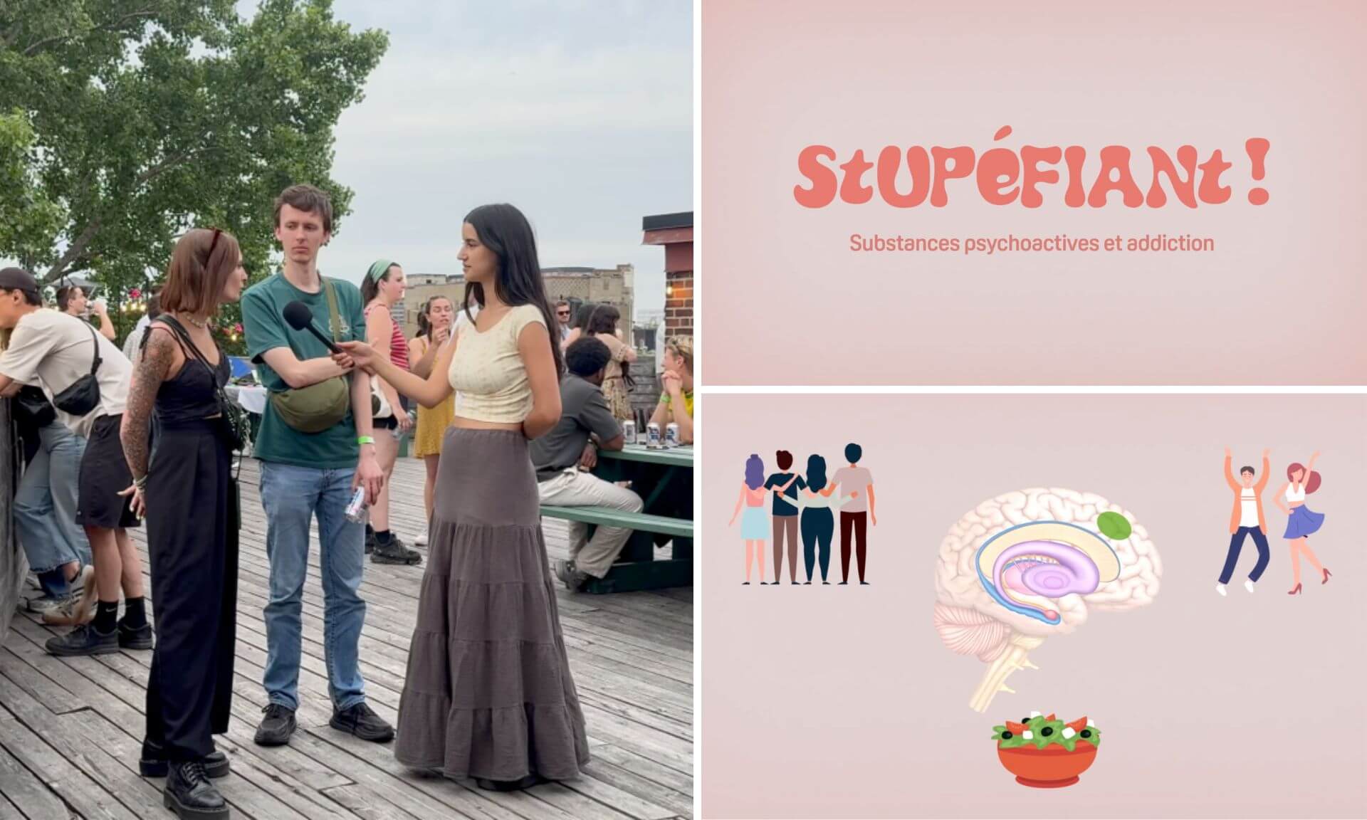 Les capsules sont difusées sur Instagram, TikTok, YouTube et le site neurostupefiant.ca.