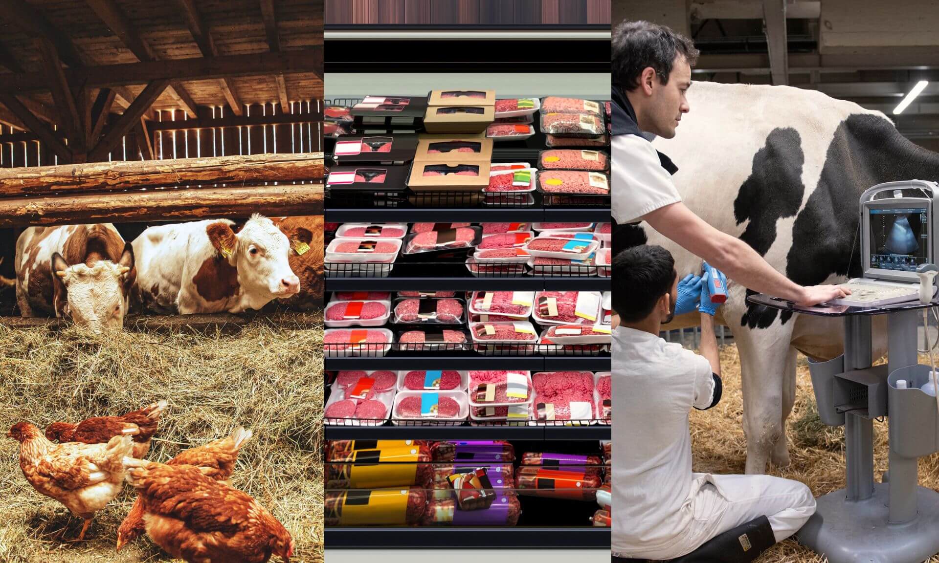 Les facultés de médecine vétérinaire, de médecine, des arts et des sciences, et de pharmacie de l'Université de Montréal regroupent des expertises complémentaires.