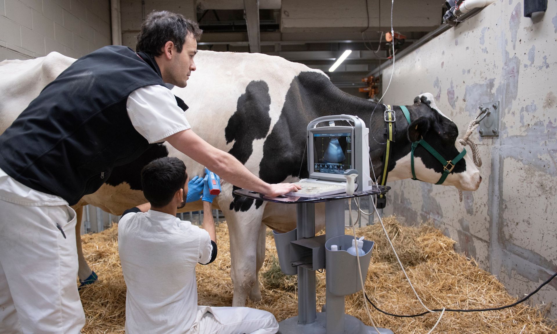 Les facultés de médecine vétérinaire, de médecine, des arts et des sciences et de pharmacie de l'Université de Montréal regroupent des expertises complémentaires.