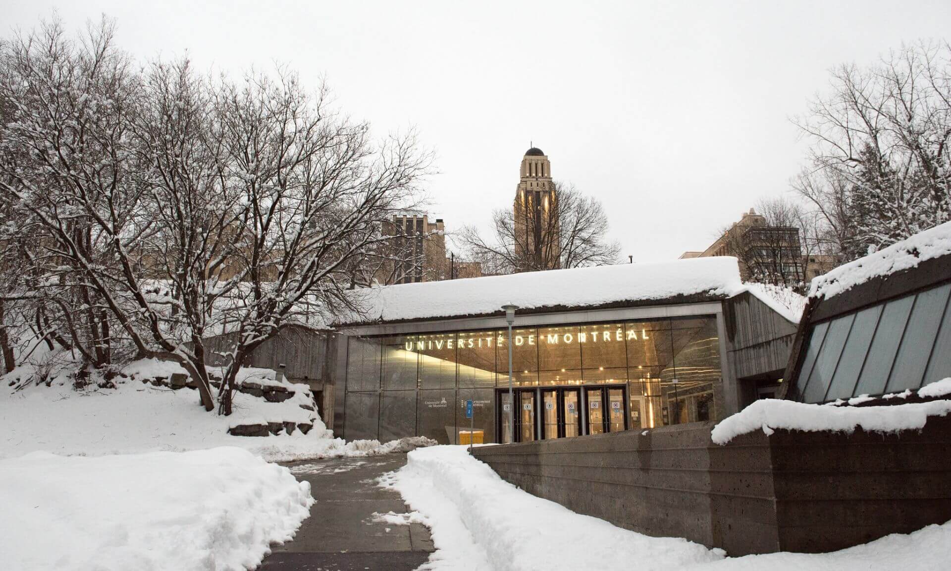 Le classement Clarivate reconnaît les scientifiques dont les travaux sont les plus influents sur la scène internationale.