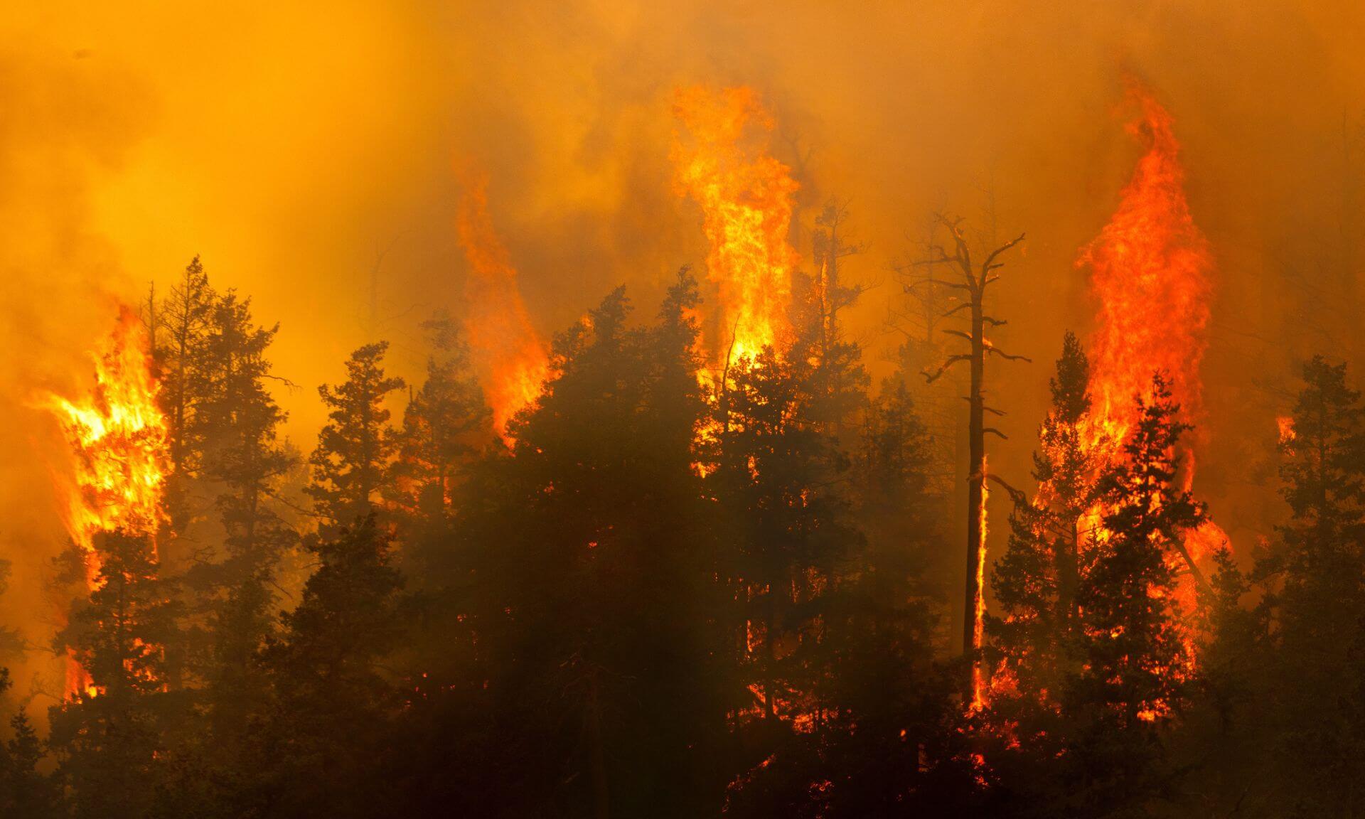 Selon l'équipe de recherche, l’amélioration des évacuations passe avant tout par une communication plus cohérente.