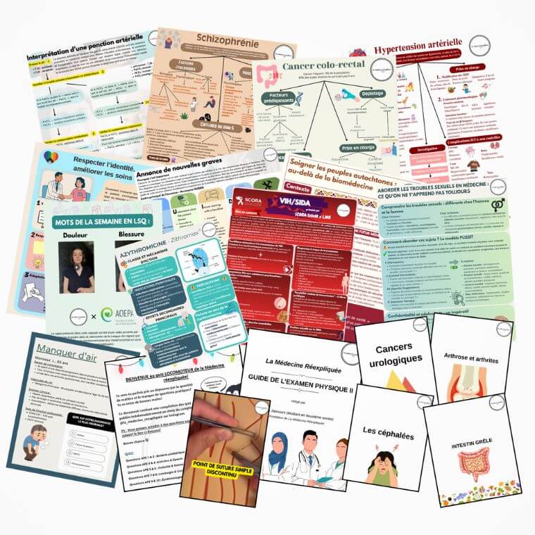 Un aperçu des contenus pédagogiques du projet La médecine réexpliquée