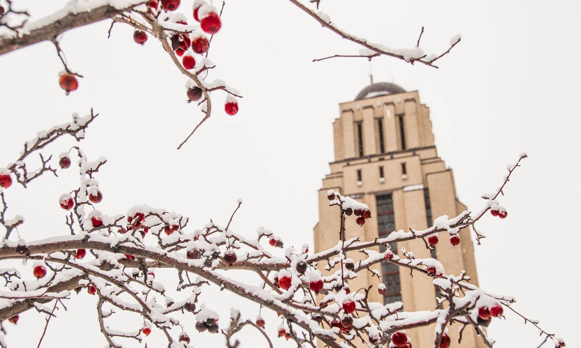 La tour du pavillon Roger-Gaudry
