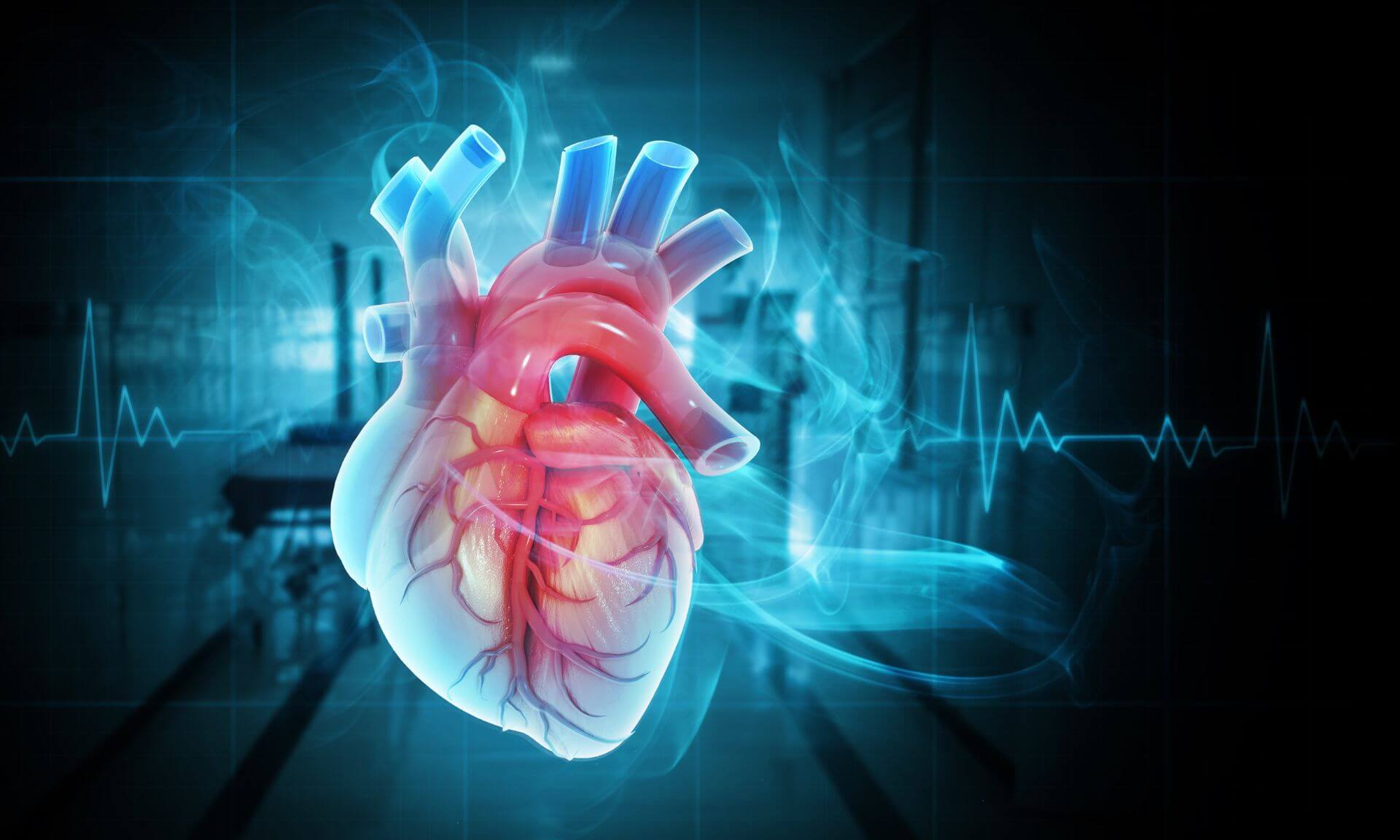 L'approche des chercheurs permet de mieux refléter la complexité du myocarde humain.