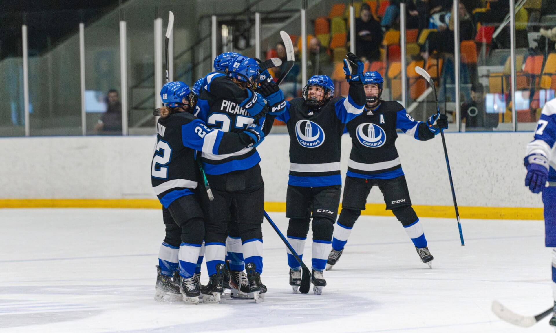 Les Carabins de l'Université de Montréal