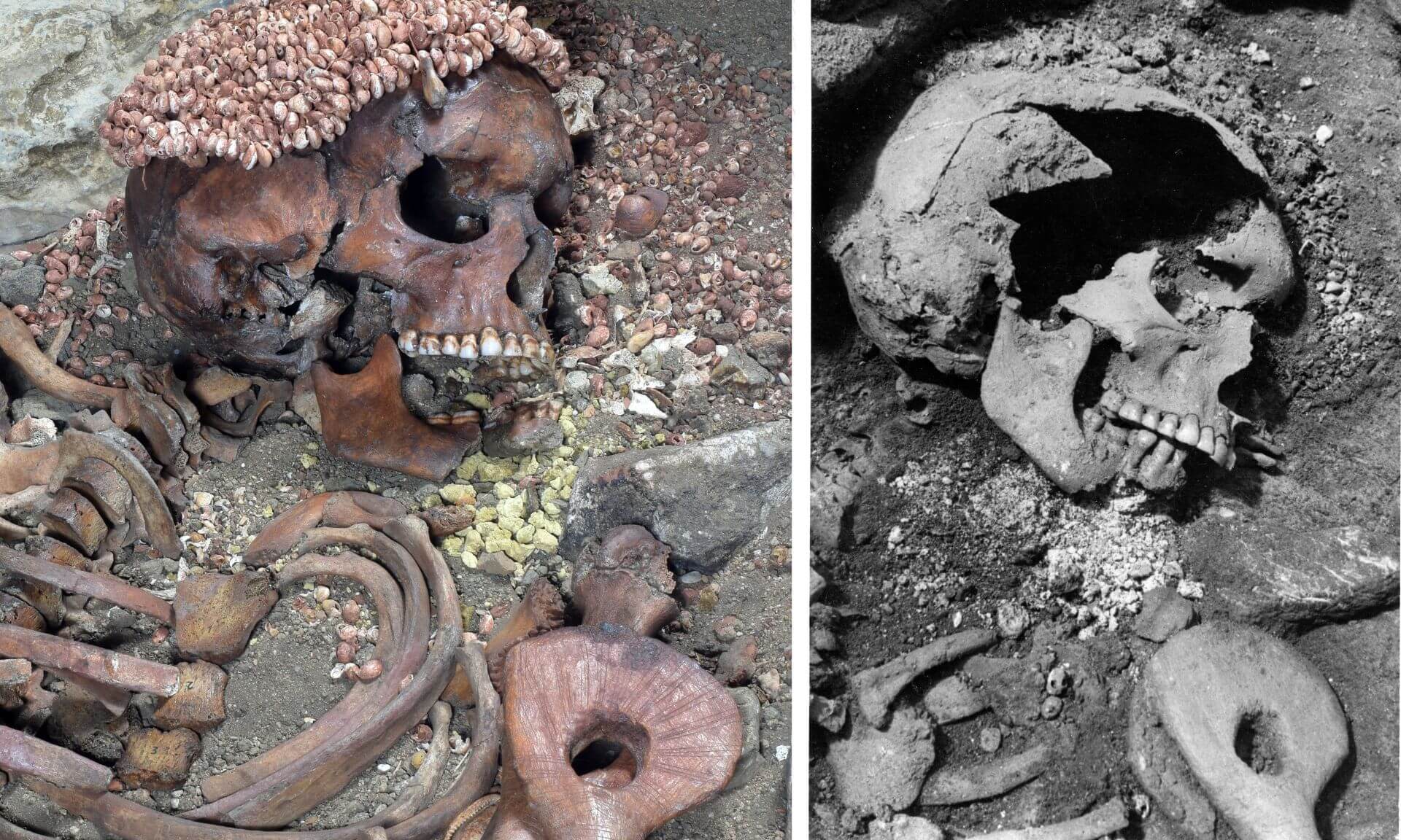 Left, the area affected by the thoraco-facial trauma, with the reconstructed cap of shells and the lump of yellow ochre below the mandible, as displayed today. Right, excavation picture of the same area (Archives of the Soprintendenza SABAP delle province di Imperia e Savona).