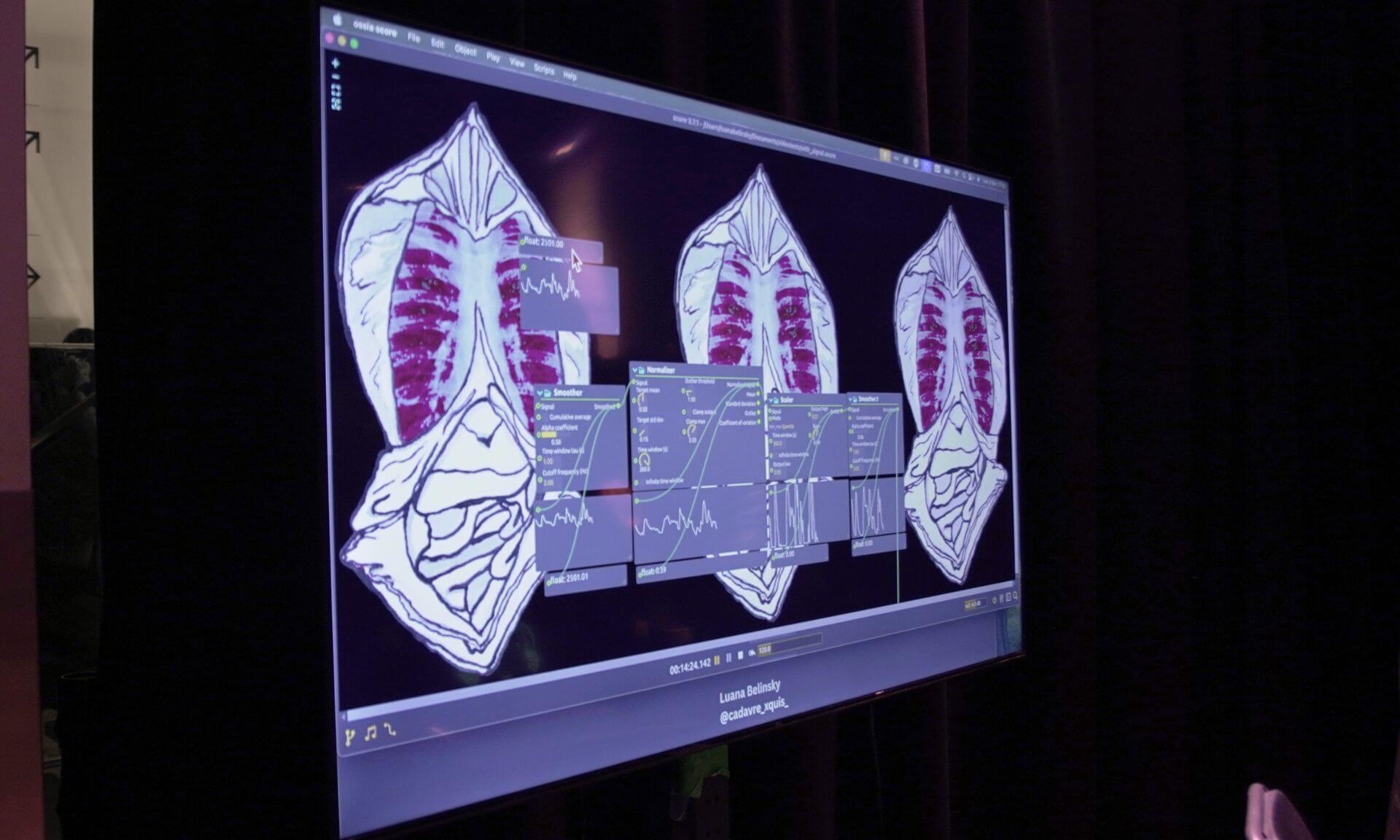 Présentation du corset numérique de Luana Belinski