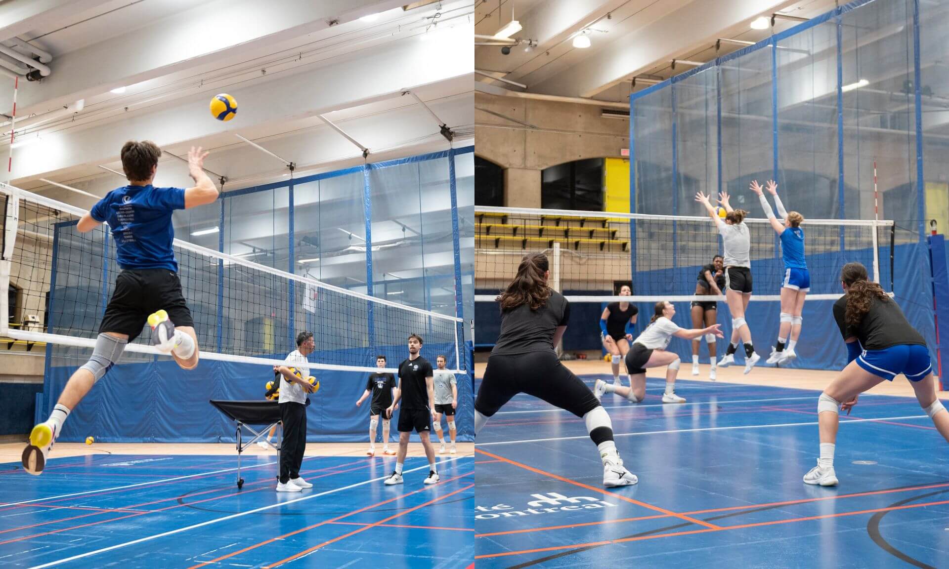 Les équipes féminine et masculine de volleyball des Carabins à l'entraînement, en vue des séries éliminatoires qui débutent le 20 février.