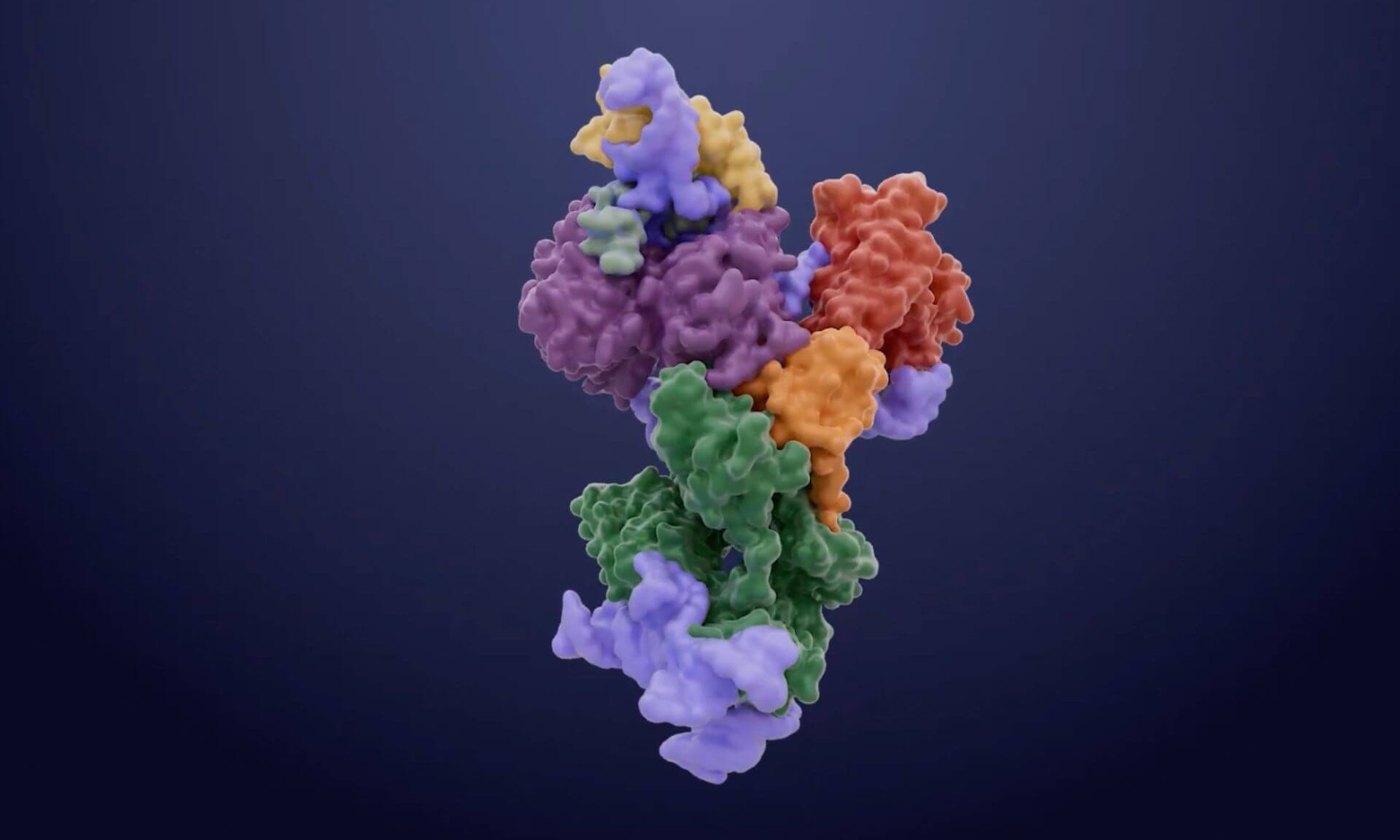 Structure of yeast telomerase determined by cryo-electron microscopy.