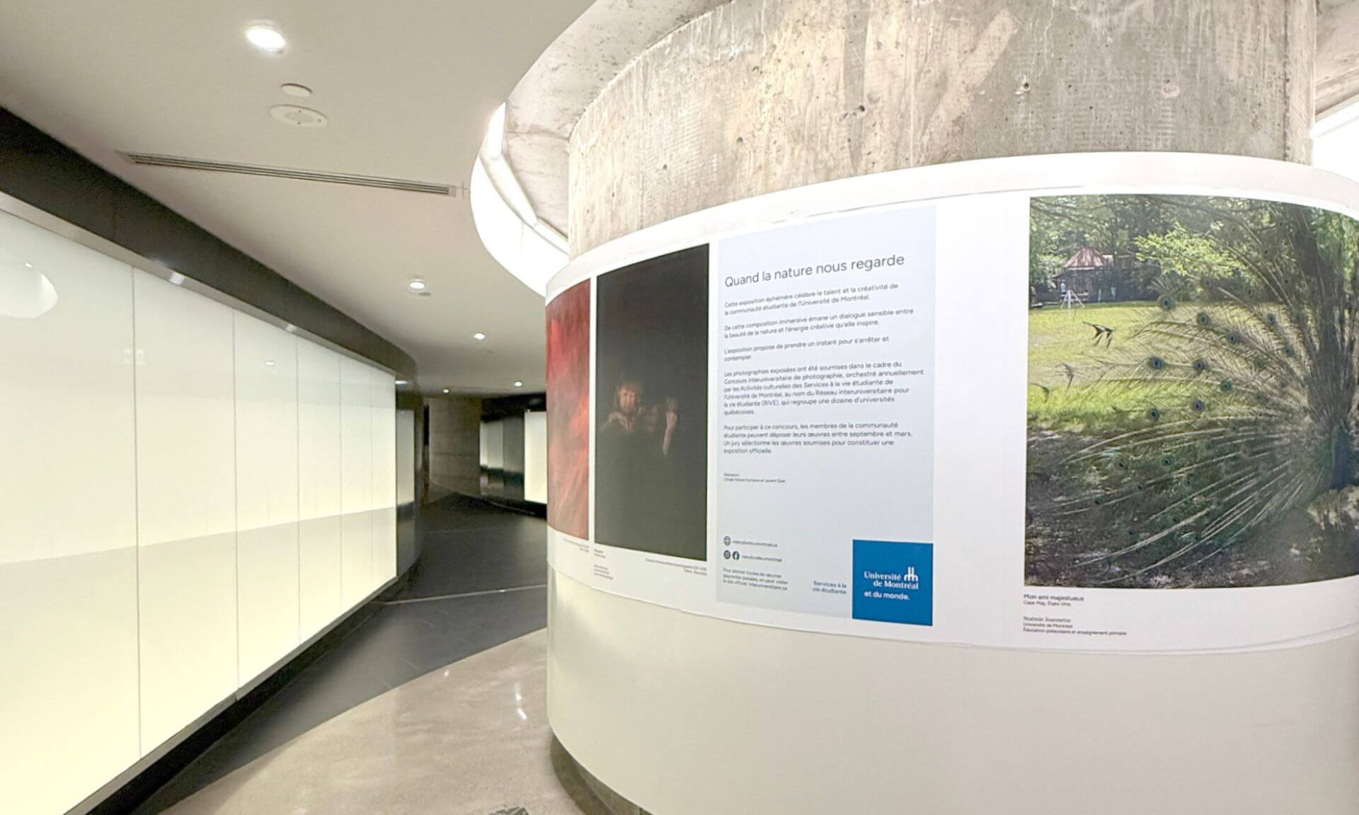 Exposition de photographie dans le tunnel de la rampe du campus de la montagne