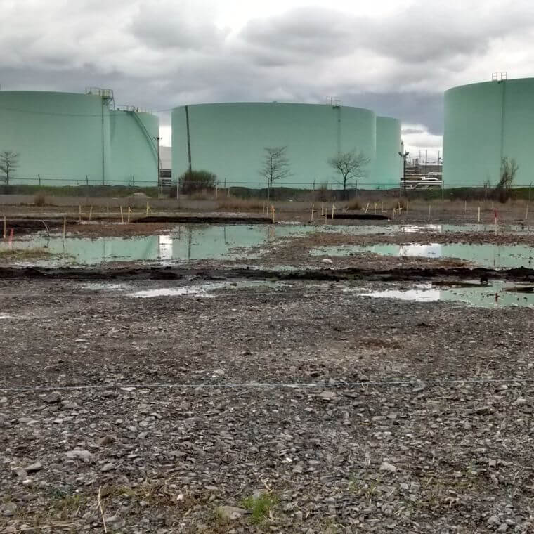 À l’est de Montréal, dans la zone industrielle, autrefois dominaient le béton, les sols compactés et l’héritage lourd de l’industrie pétrolières.
