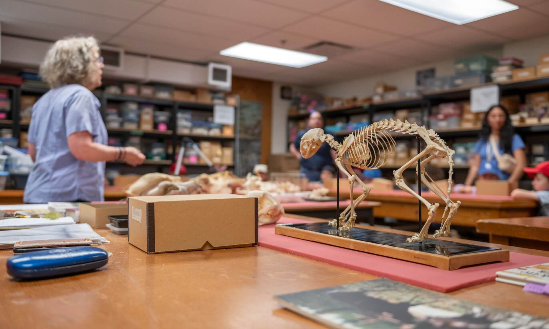 Visite de l’Ostéothèque au Département d’anthropologie de l’Université