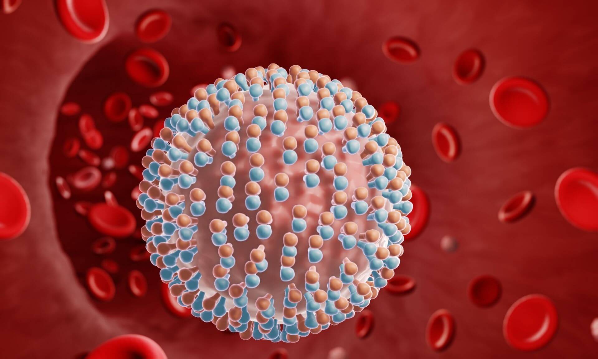 Le virus de l'hépatite C dans le sang