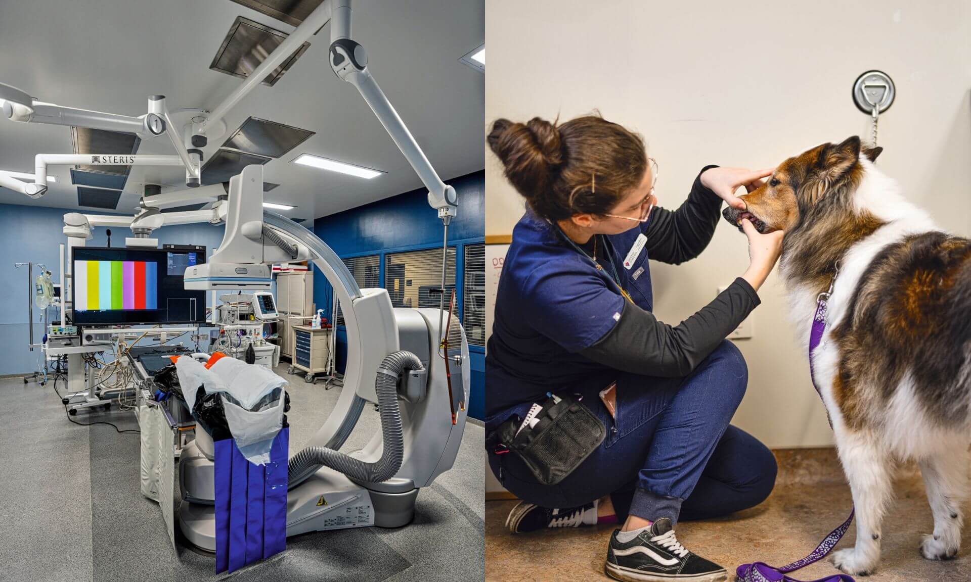 Depuis janvier 2025, une nouvelle salle intégrée spécialisée en imagerie médicale facilite les opérations non invasives chez les animaux.