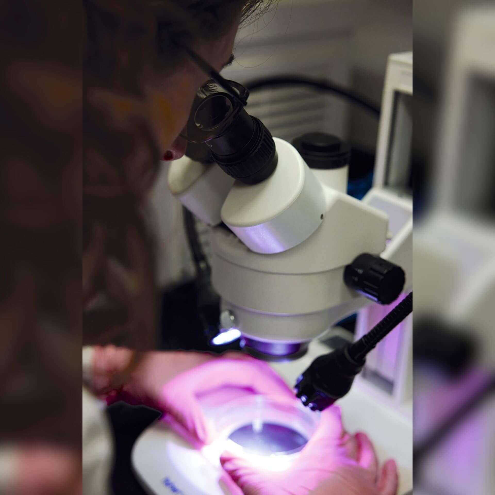 Lancé à l’automne 2024, le Centre d’excellence pour les maladies infectieuses s’articule autour de deux volets: la prévention des infections, sous la direction du Dr Olivier Drouin, et la recherche de nouveaux traitements, que pilote le professeur Yves Brun.