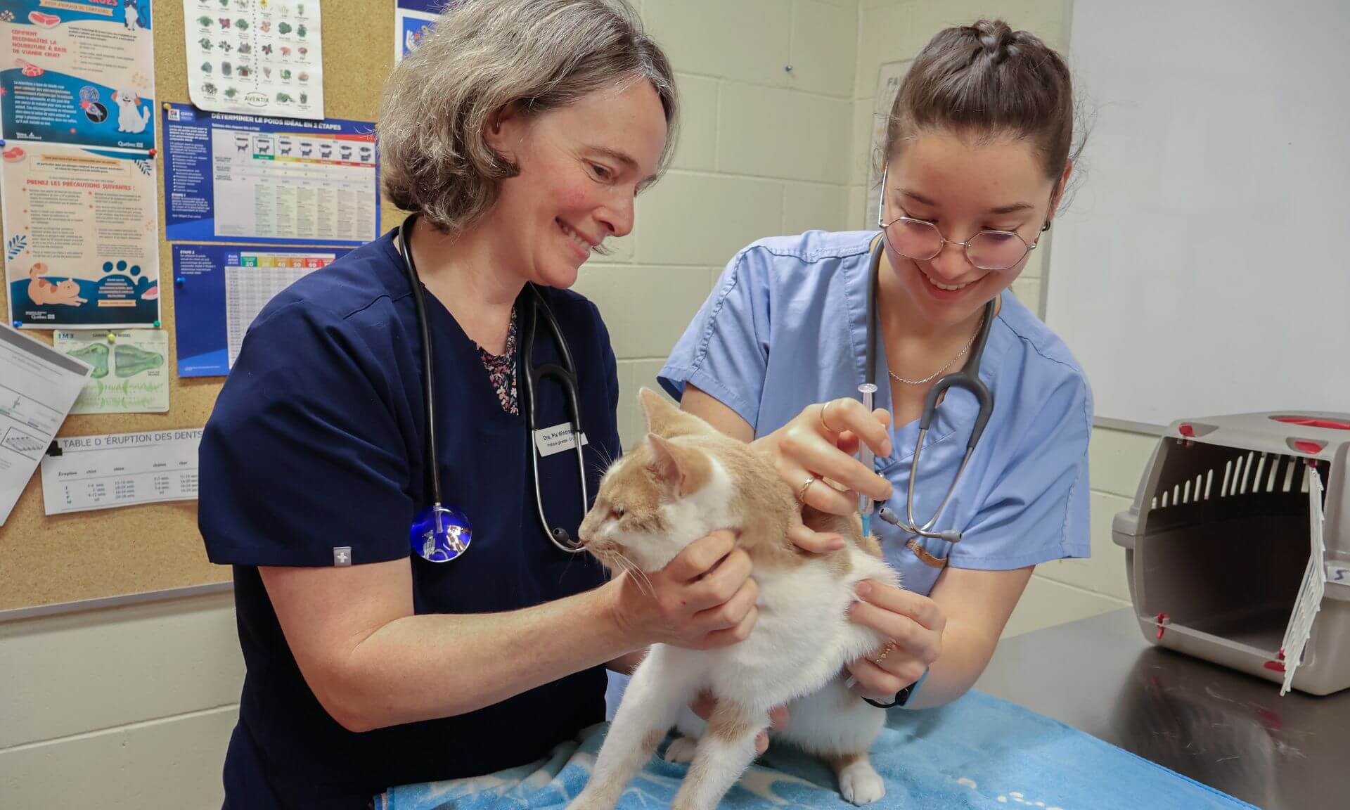 Les propriétaires d’animaux de compagnie des régions ciblées pourront les faire vacciner contre la rage à tarif réduit.