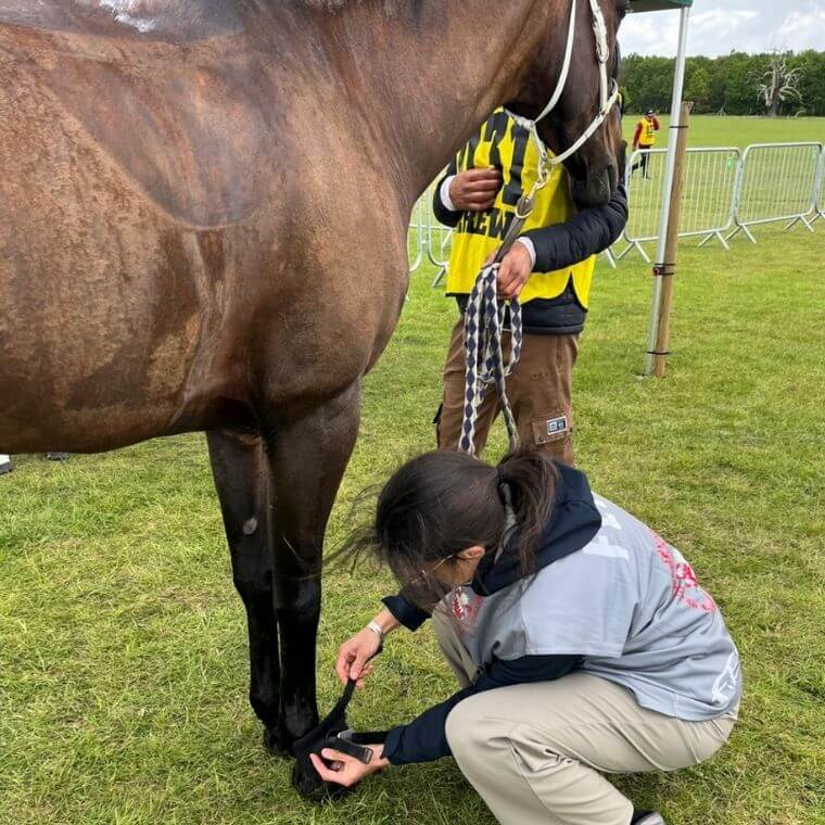 Dr. Morgane Schambourg is fitting a device to a horse's leg during the intermediate endurance event at the Royal Windsor.