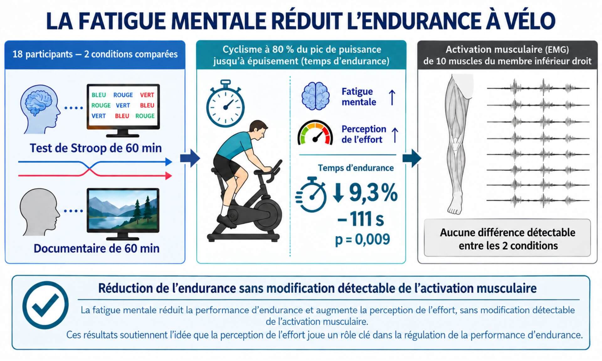 Après le test de Stroop, les participants ont vu leur endurance diminuer, sans aucune altération de leur puissance musculaire.