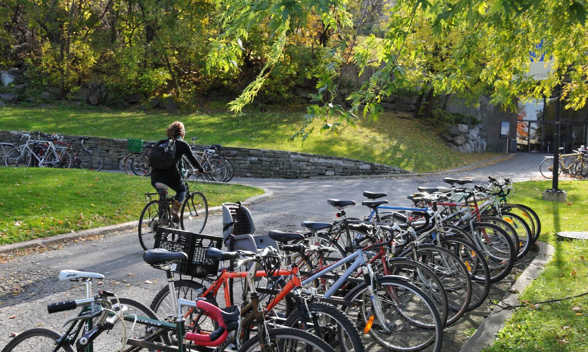 Des vélos devant le campus de la montagne.