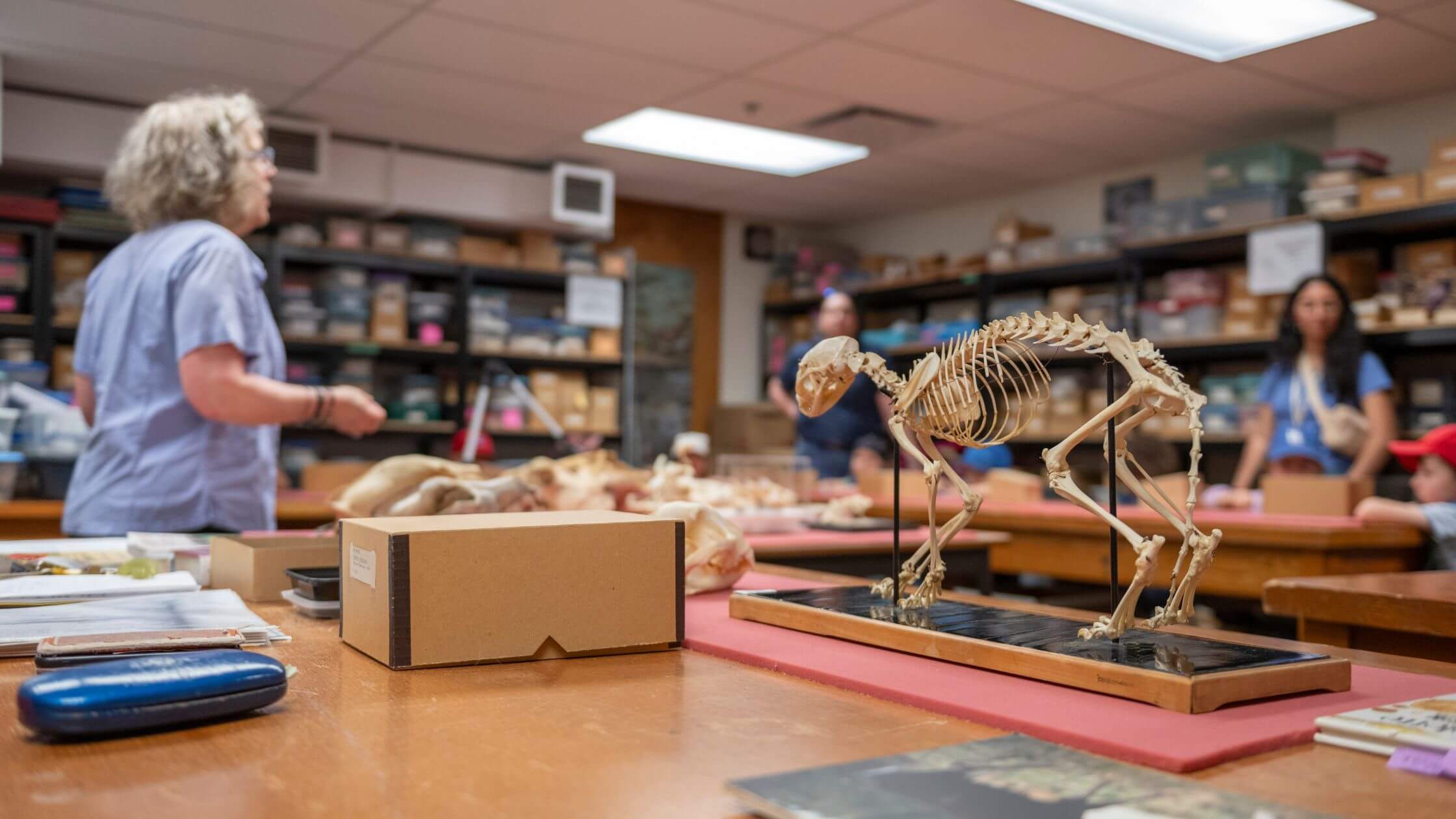Claire St-Germain, coordonnatrice des laboratoires du Département d’anthropologie,  a fait découvrir à des petits visiteurs la collection de l’Ostéothèque de Montréal.