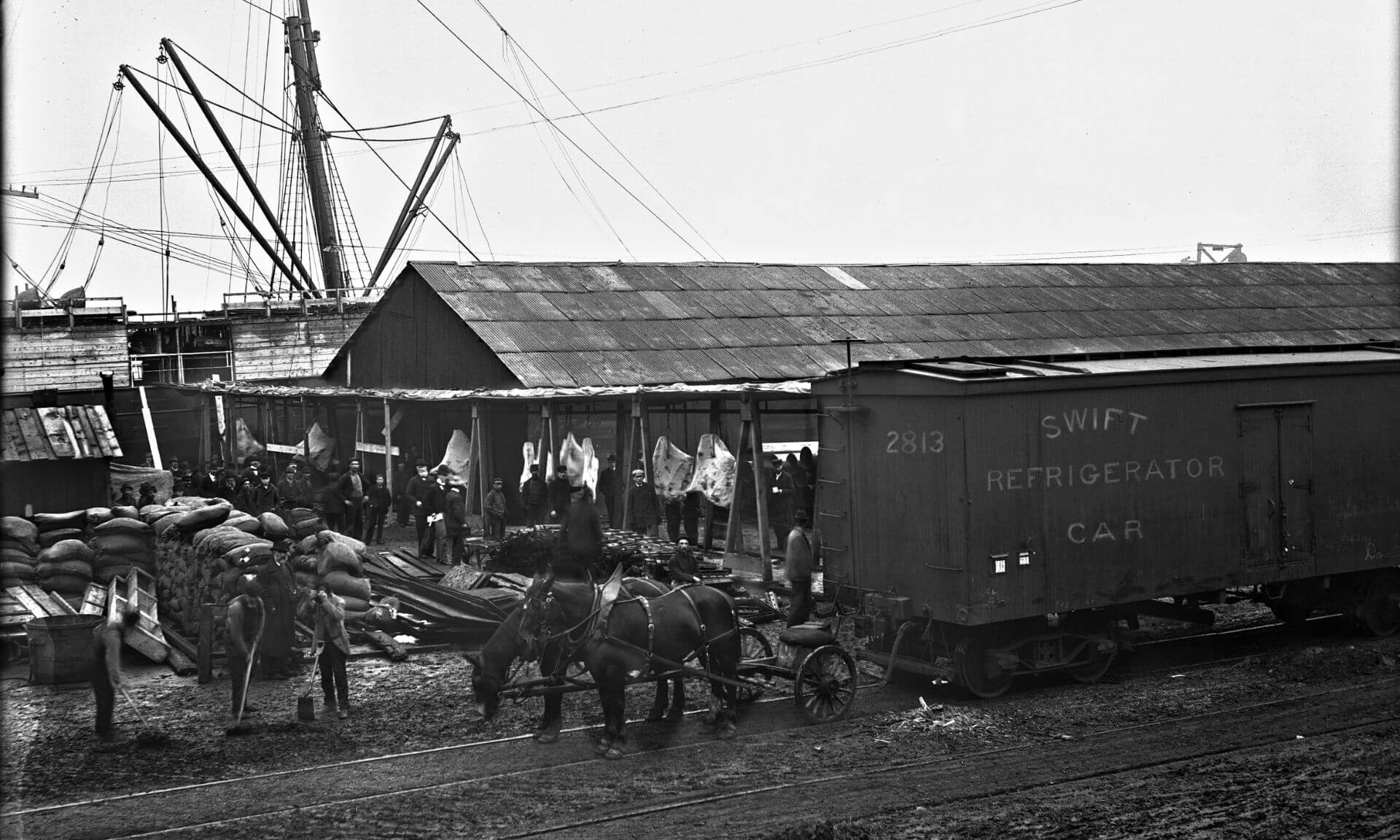 Le bétail sur pied et quartiers de bœufs étaient d’abord transportés par train depuis l’Ouest canadien et les États-Unis vers le port de Montréal.