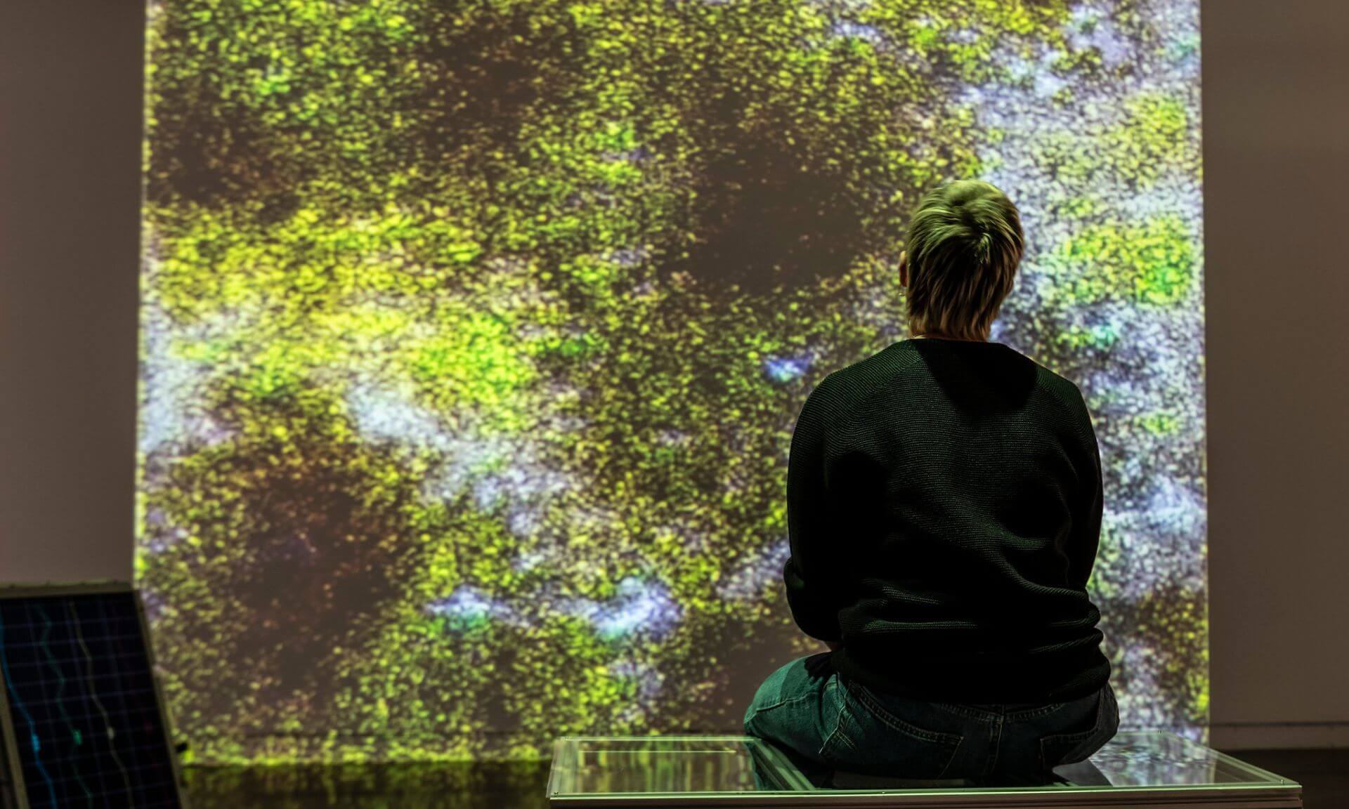 L’installation "Terre commune" de Marion Schneider.