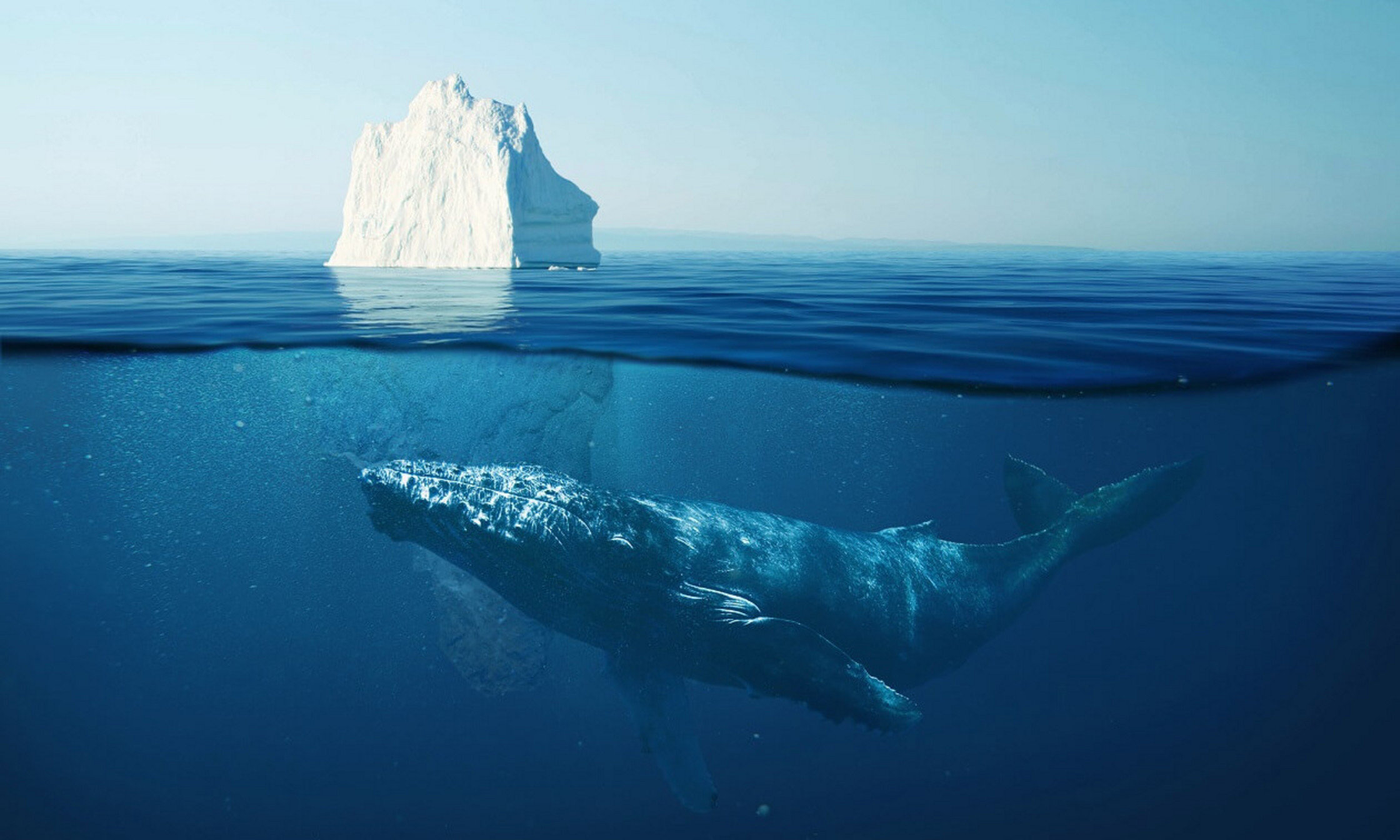La science a fait des pas de géant dans la compréhension des causes des changements climatiques, mais les connaissances sur la façon dont on peut convaincre la population de changer ses habitudes – et la pousser à faire bouger les gouvernements –, n'ont pas évolué...