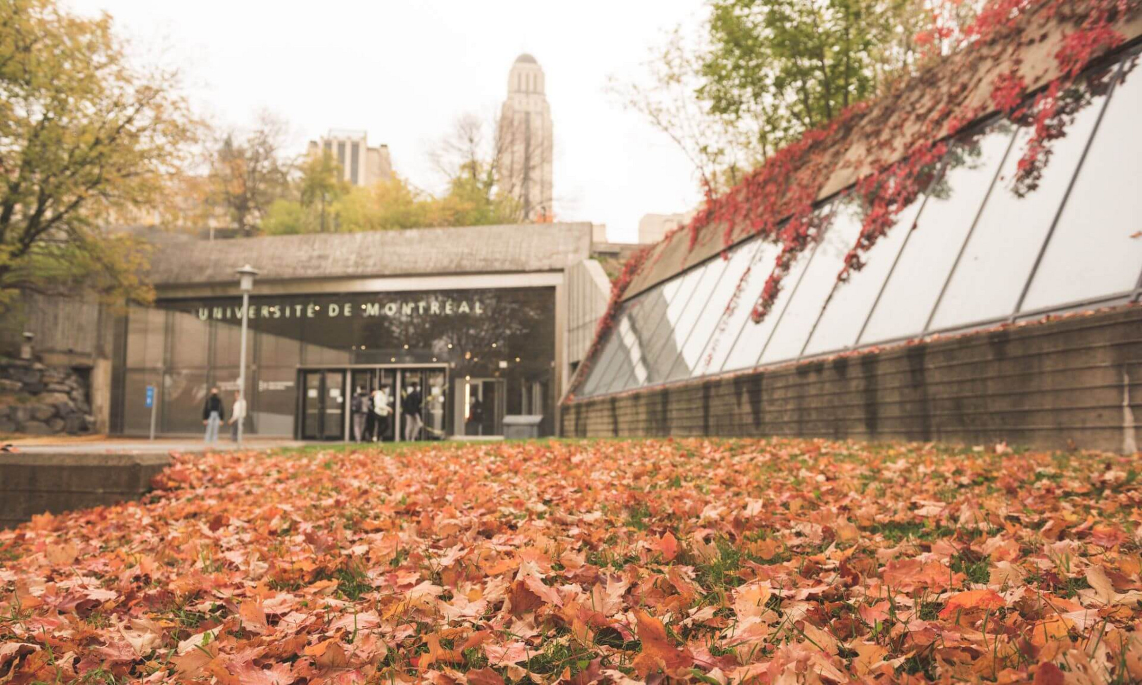 Le campus de l'Université de Montréal