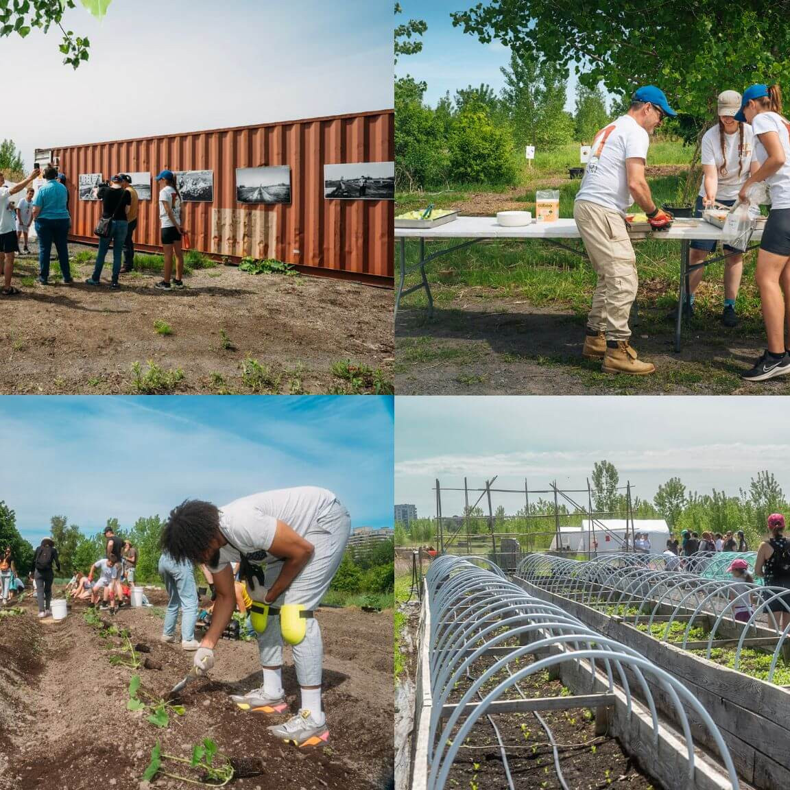 La reconnaissance souligne la portée d’un projet alliant mobilisation citoyenne, expérimentation sur le terrain et vision à long terme pour la transition écologique du lieu.