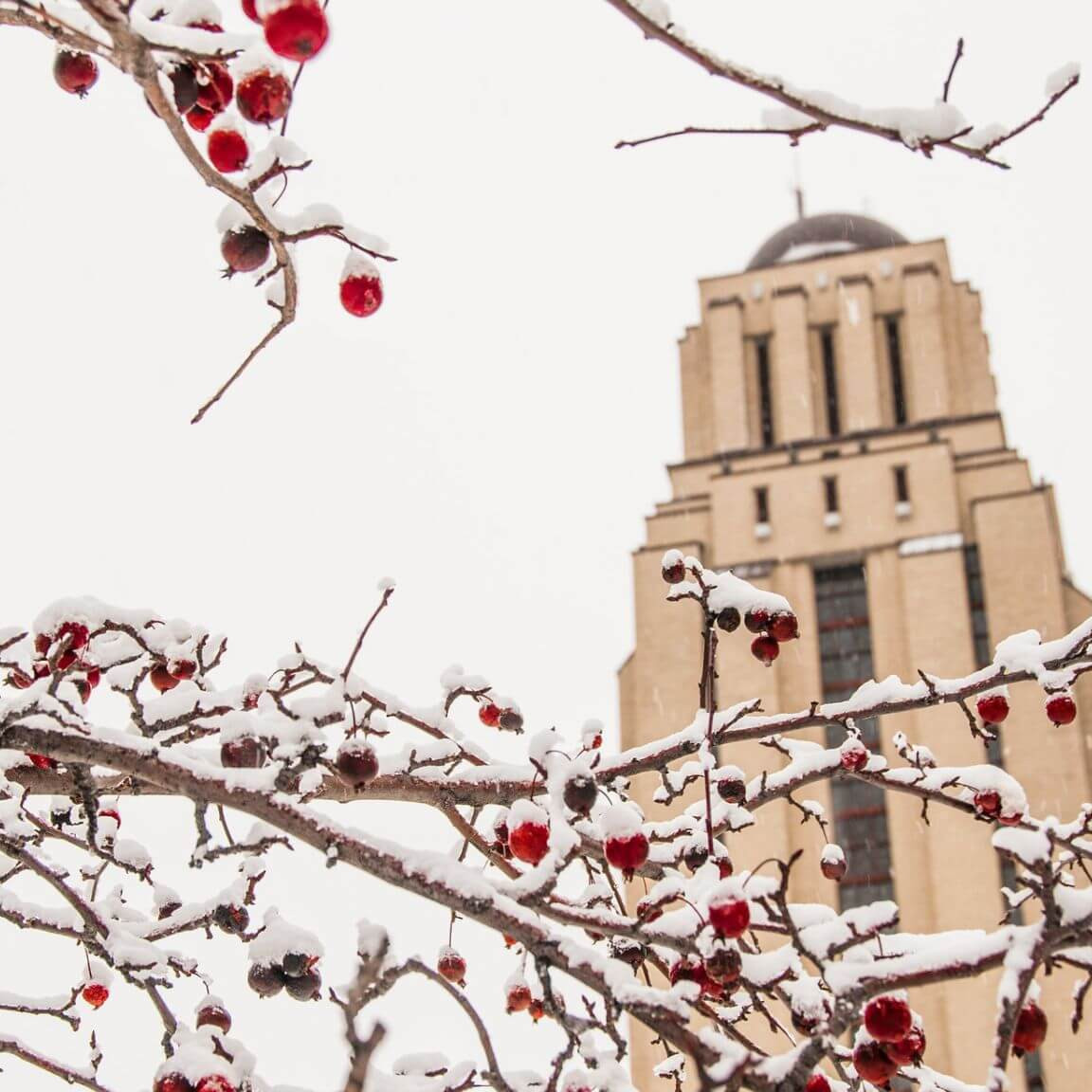 La tour du pavillon Roger-Gaudry