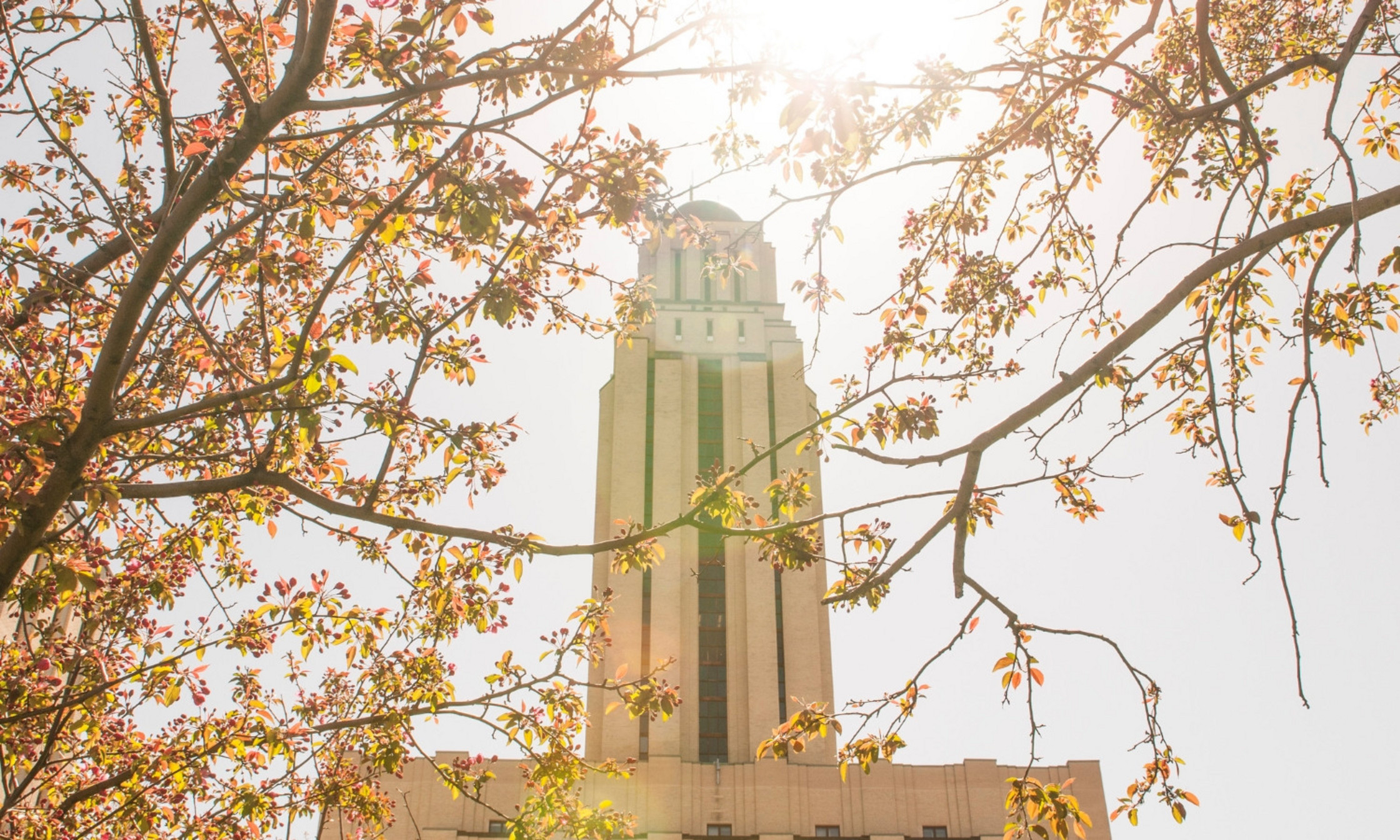 La tour du pavillon Roger-Gaudry