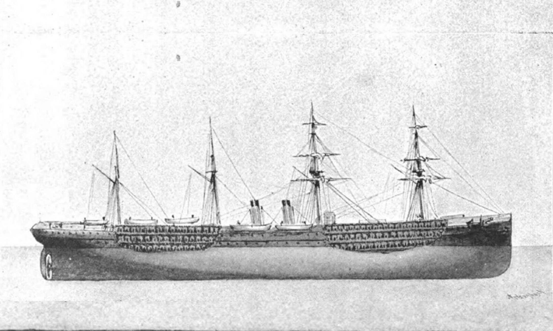 Image représentant un navire de transport de bétail de la fin du 19e siècle. À l’époque, lorsque le navire roulait ou tanguait, le poids des bêtes tirait sur les amarres, qui cédaient: les bovins étaient projetés sur le pont souillé de fumier et d’urine. ballottés d'un bord à l'autre, les animaux s'entassaient pêle-mêle et plusieurs n'y survivaient pas.