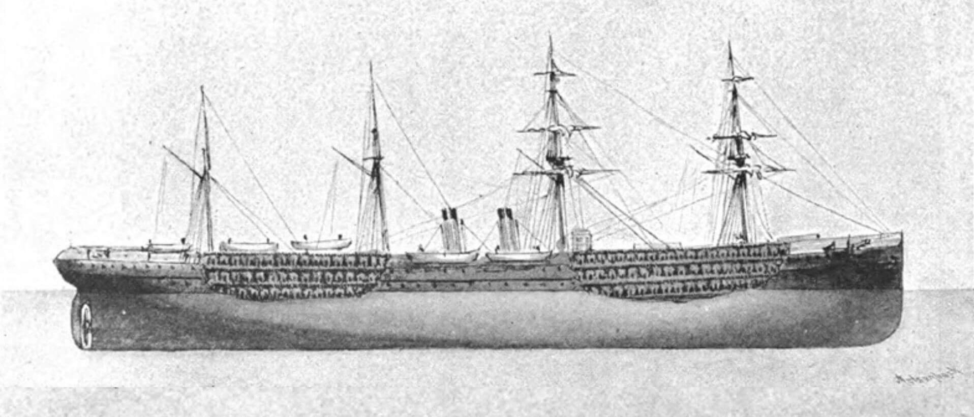 Image représentant un navire de transport de bétail de la fin du 19e siècle. À l’époque, lorsque le navire roulait ou tanguait, le poids des bêtes tirait sur les amarres, qui cédaient: les bovins étaient projetés sur le pont souillé de fumier et d’urine. ballottés d'un bord à l'autre, les animaux s'entassaient pêle-mêle et plusieurs n'y survivaient pas.