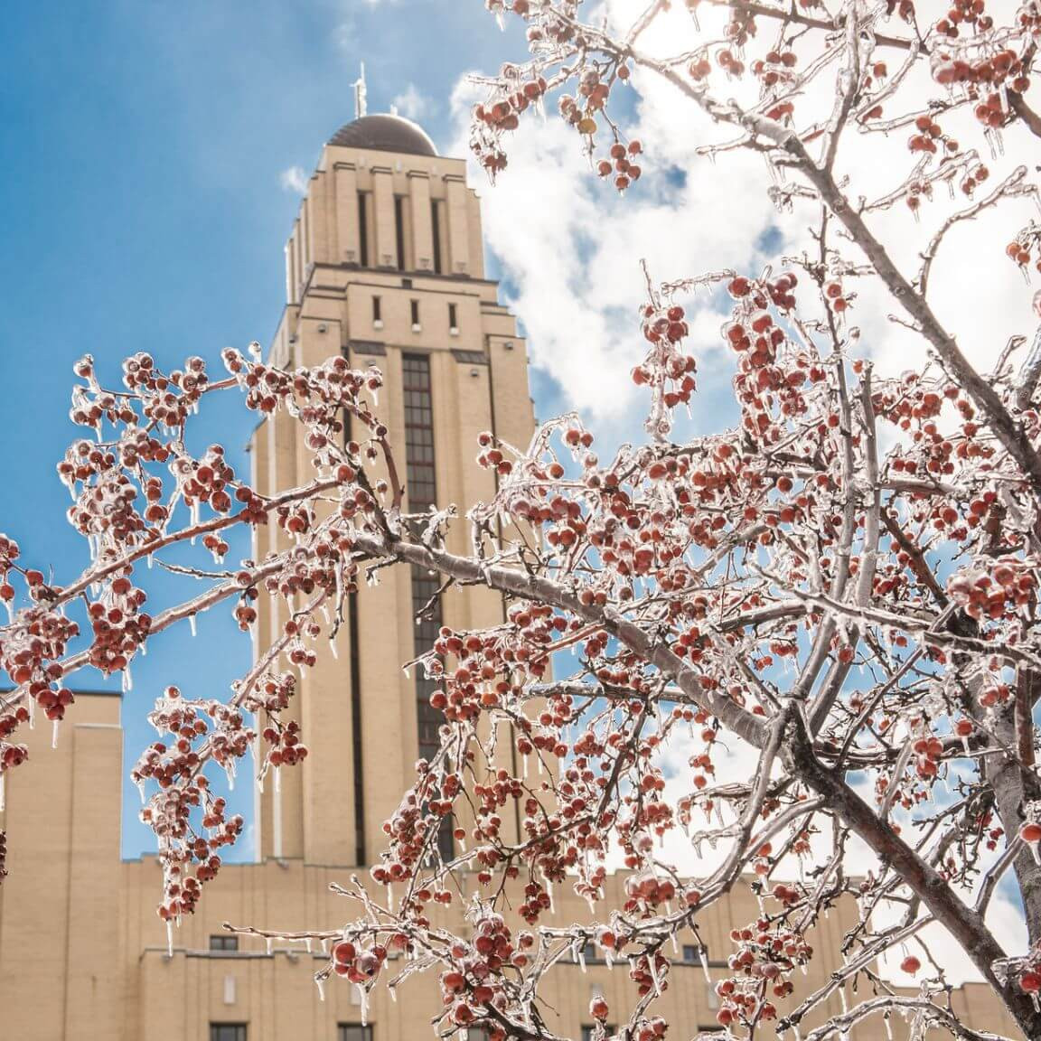 La tour du pavillon Roger-Gaudry de l'Université de Montréal