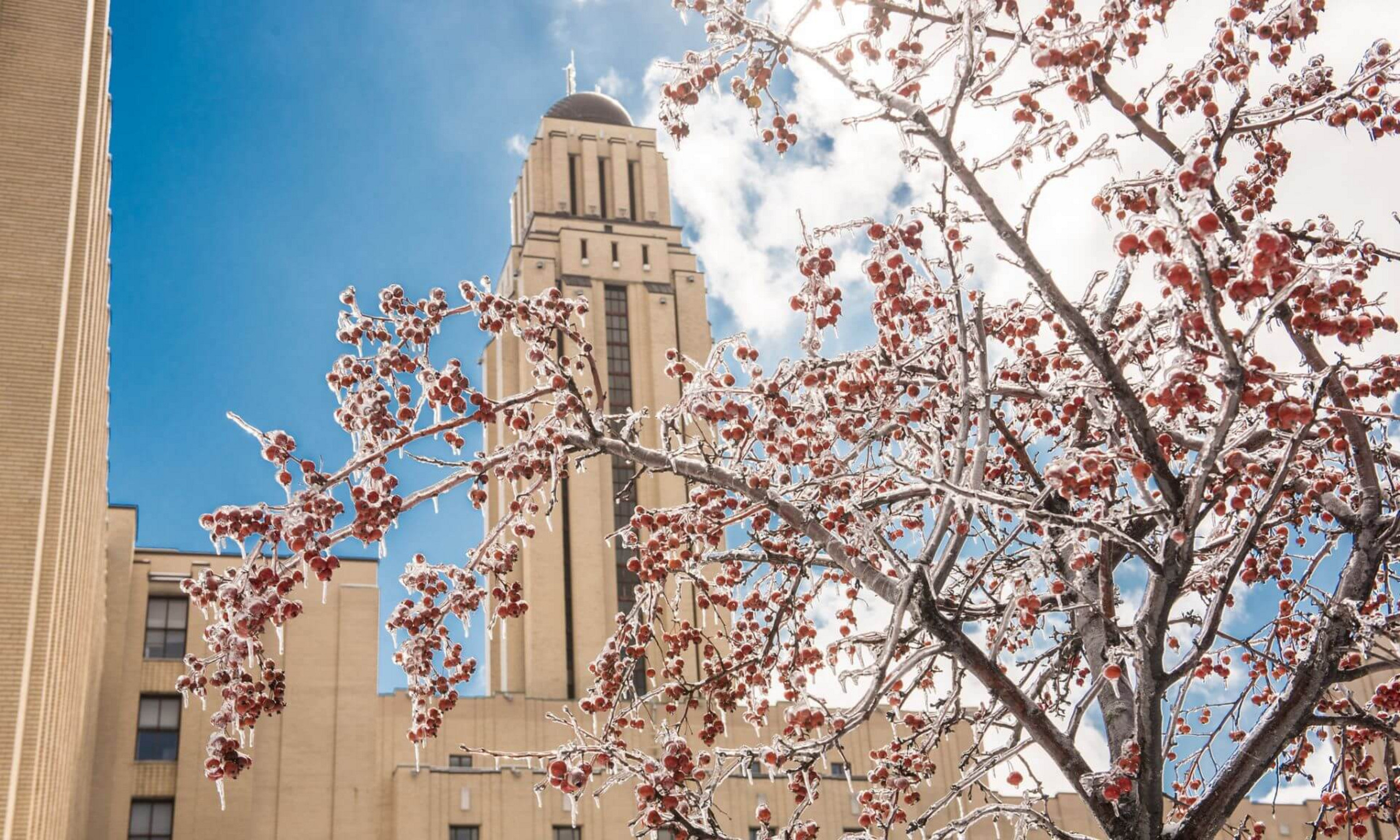 La tour du pavillon Roger-Gaudry de l'Université de Montréal
