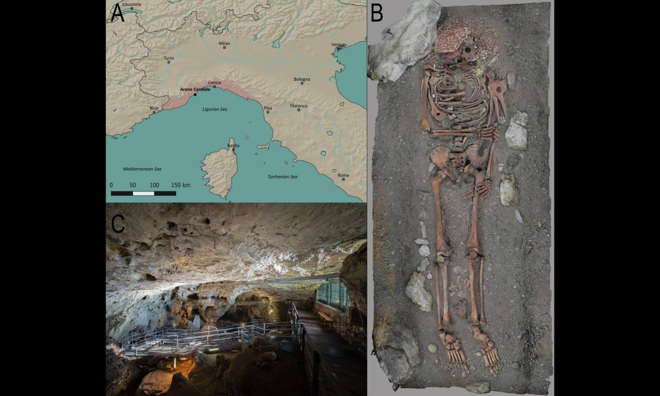 A: Situation géographique d'Arene Candide dans le nord de l'Italie, avec la région de Ligurie surlignée en rouge. B: Vue zénithale de la sépulture «Il Principe», telle qu'elle est exposée au Museo di Archeologia Ligure, à Gênes Pegli. Le modèle photogrammétrique a été créé pour cette étude. C: Vue de la salle orientale de la grotte d'Arene Candide.