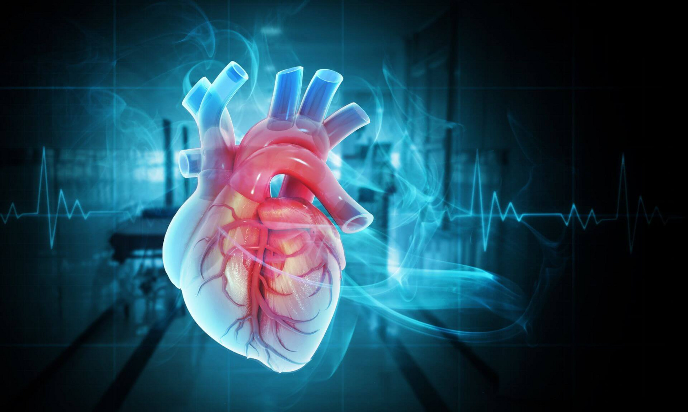 L'approche des chercheurs permet de mieux refléter la complexité du myocarde humain.