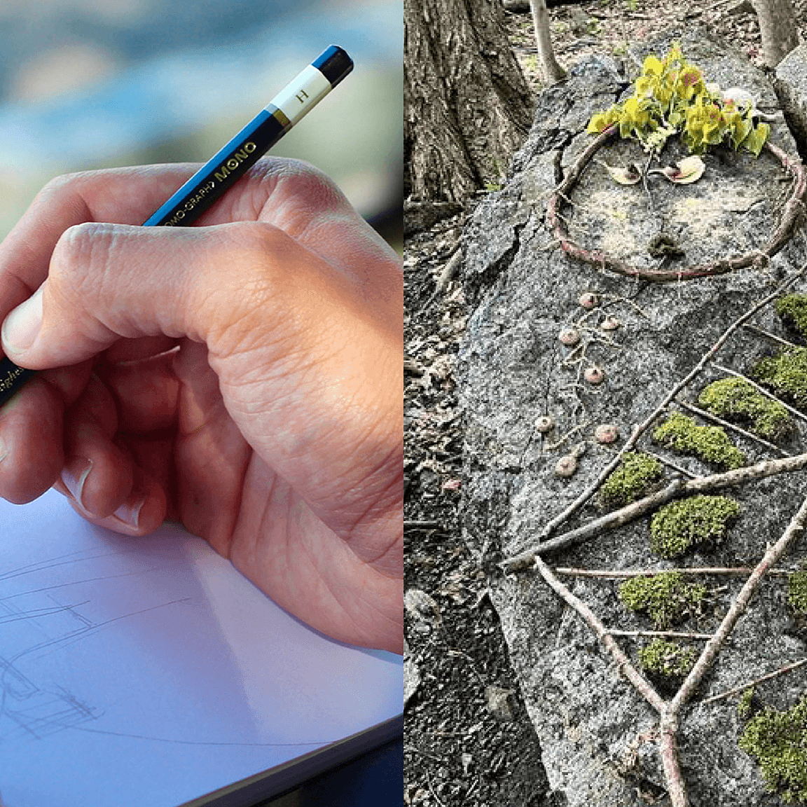 Ateliers Dessin dans la ville et Land art (art nature)