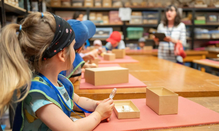 Each child was given a small box containing a skull that they could examine and handle, and then try to guess which species it belonged to.