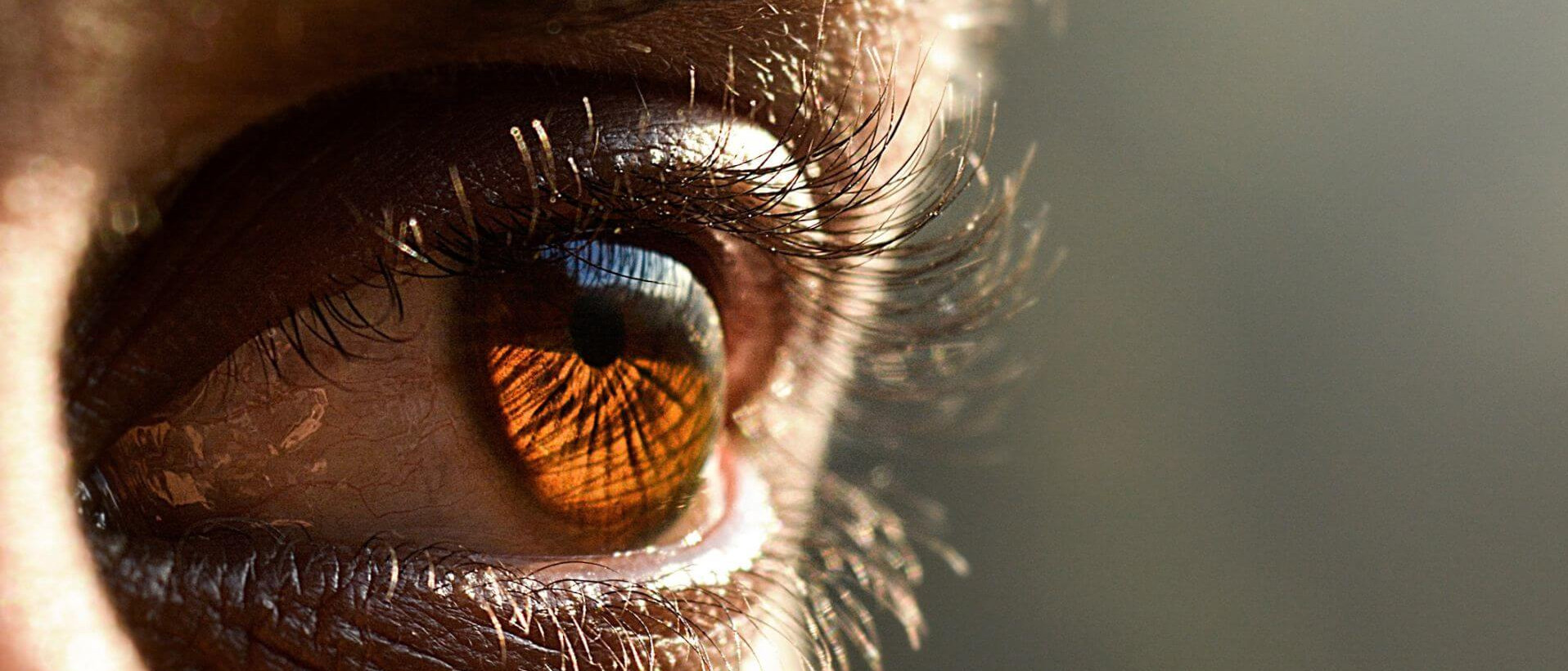 Selon l'étude, la surface du cortex visuel primaire était plus petite chez les individus exposés (par rapport à ceux non exposés) au tabagisme maternel pendant la grossesse.