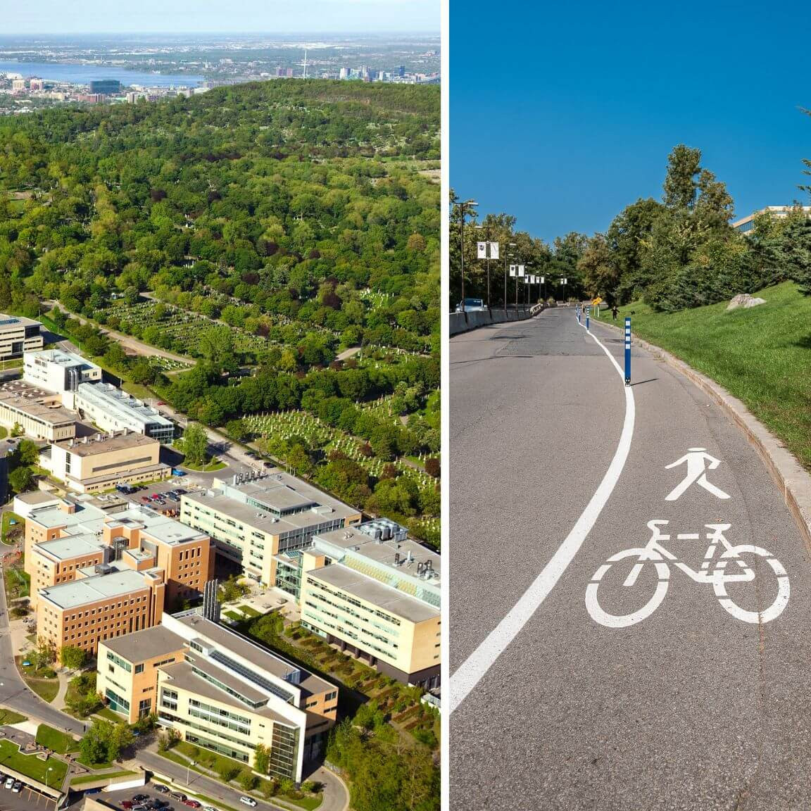 Le campus de la montagne de l'Université de Montréal