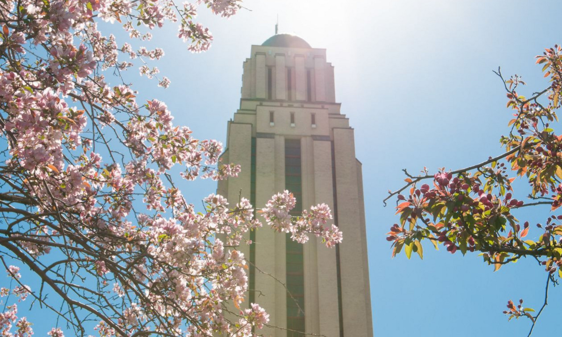 La tour du pavillon Roger-Gaudry Tour du pavillon Roger-Gaudry
